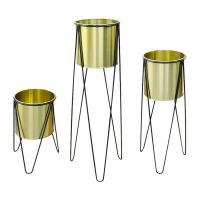 רמיטקס - עיצוב הבית וטקסטיל ריהוט משלים שלישיית מעמדים לעציץ פרזול זהב שחור