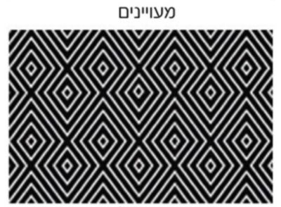 שטיח PVC דגם - רמיטקס במידה 60/100 רק 69ש"ח . 