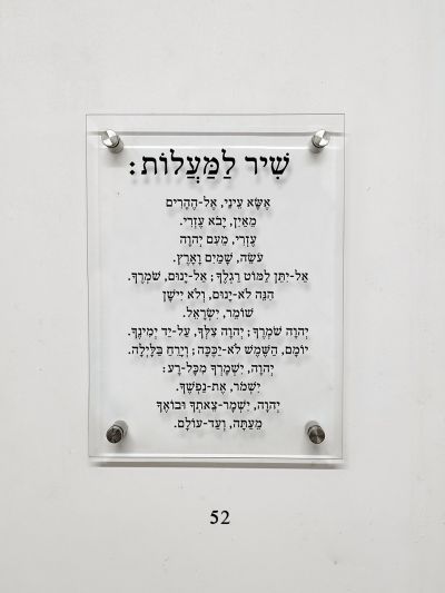 מבצע ברמיטקס רק 199 ש"ח כולל אביזרי תליה מידה 40/60